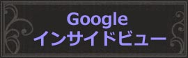 Google インサイドビュー