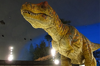 Directions to Fukui Prefectural Dinosaur Museum